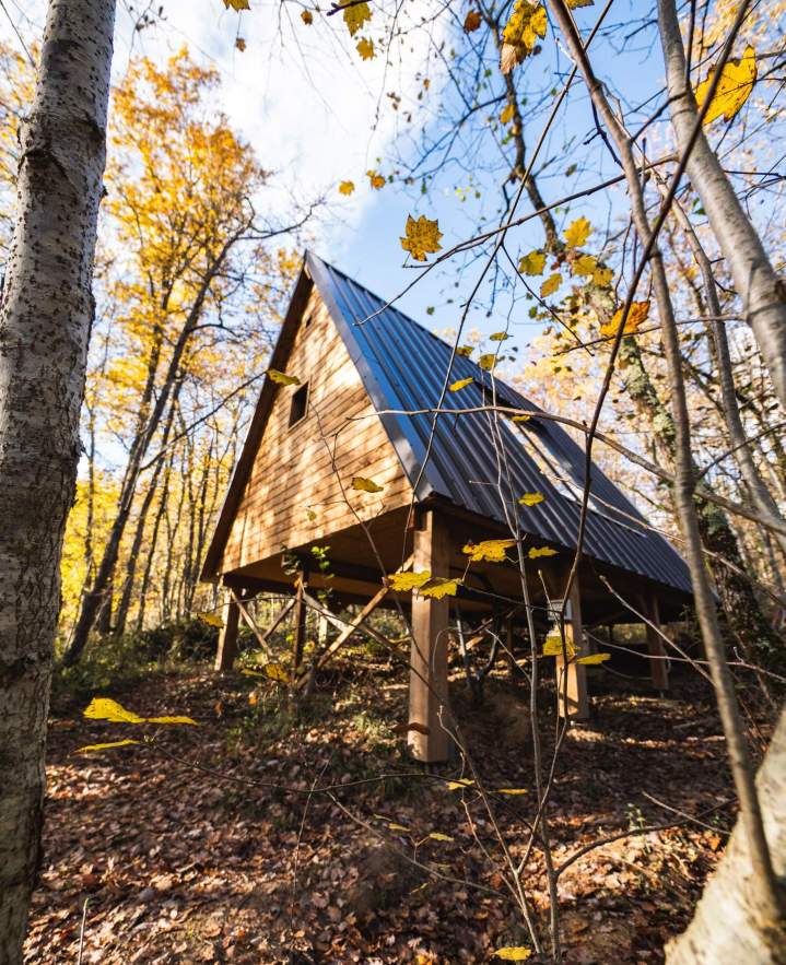 MA SOLUTION BOIS SARL 03